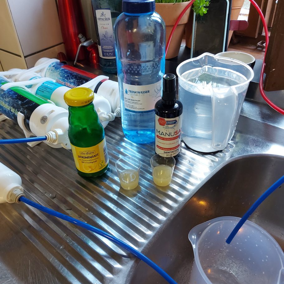 Zitronensaft Geschmackstest vor Ort Leitungswasser Geschmacks Tests
